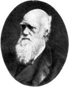 darwin_b